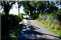 Tree shadows along Laurelbank Road