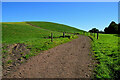 Track in field, Mullaghmore