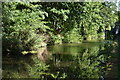 Worcester and Birmingham Canal in cutting north of Raddlebarn Road