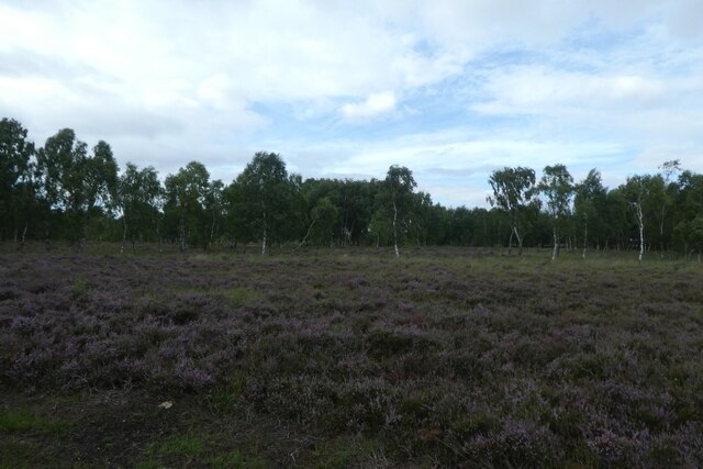 Strensall Common, York - area information, map, walks and more