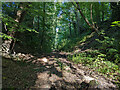 Public footpath along old railway, Crawley