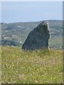 NM1655 : Coll - Totronald - Na Sgialaichean - Standing Stone (Southern) by Rob Farrow