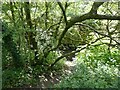 Path down to the River Rhymney