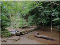 Stepping stones and ford, Skelton Beck