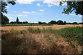 Field on the edge of Cottenham