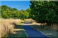 Bristol : Footpath