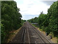 Railway towards Winchfield