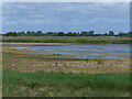 Bullocks Haste Common flood