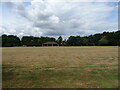 Parched playing fields, Fleet