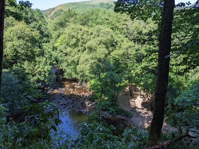 The River Dart seen from the footpath to the south
