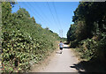 Jogging along the old railway path