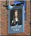 Sign for the Duke of York, Camberley