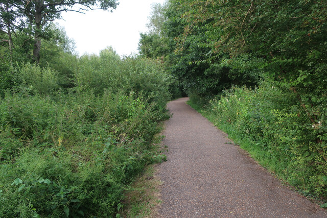 Cyclepath by River Wensum