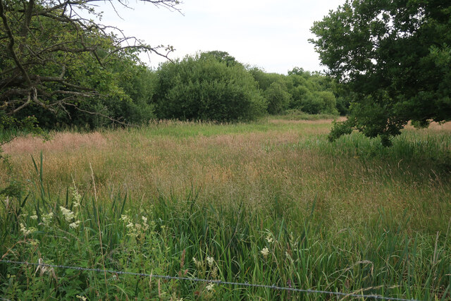 Sweet Briar Marsh © Hugh Venables :: Geograph Britain and Ireland