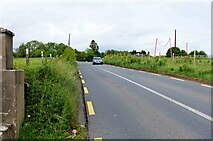 M8587 : R369 road near Shankill Cross, Co. Roscommon by P L Chadwick