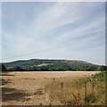 Looking from Weston over to Butser