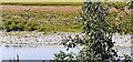 Looking west across River Eden from St Paul