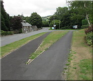 SN9768 : Grass triangle on a Rhayader pavement by Jaggery