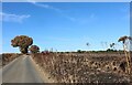 Three Houses Lane, Codicote