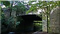 River Brun Path under Heasandford Bridge