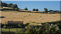 Harvested fields