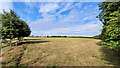 Grassy field south of Stockwell