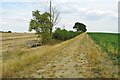 Footpath to the A505