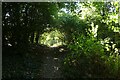 Path towards the Foss