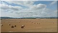 NT1498 : Hay Bales near Loch Leven by Ian Dodds