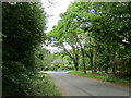 Wooded lane and Southwood Lodge