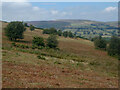 Llethrau Moel Famau / Slopes of Moel Famau