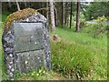 NN1677 : The plaque boulder is weathering nicely by David Medcalf
