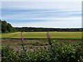 View over the fields