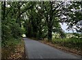 Axborough Lane at Axborough Wood