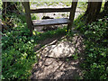 Stone Stile, Alveston