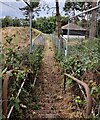 Footpath through the Lea Castle Village housing development