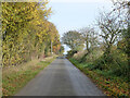 TL8621 : Lane towards Skye Green by Robin Webster