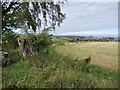 View from Busbyside triangulation pillar