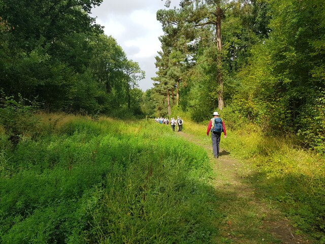 Walkers entering Tiddesley Woods