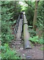 Footbridge in Drumming Wood