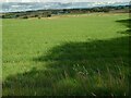 Gently sloping grass field