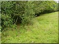 Footpath 111/12 near Lower Gey House, Barkisland