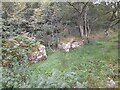 Break in chunky Dry-Stone Wall