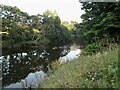 River Coquet at Warkworth