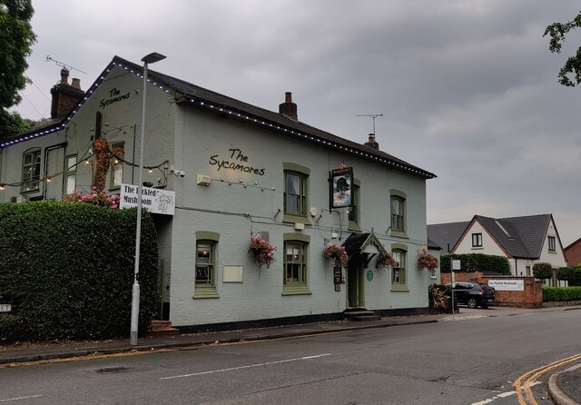 The Sycamores In Burbage © Mat Fascione :: Geograph Britain And Ireland