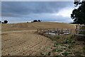 Farmland near Hagley Hill Farm