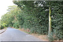 TF4510 : Peatlings Lane, Wisbech by David Howard