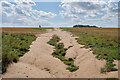 Track to Ryecroft Farm