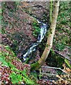 Scaitcliffe Clough