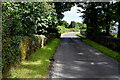 Small bridge along Carnony Road